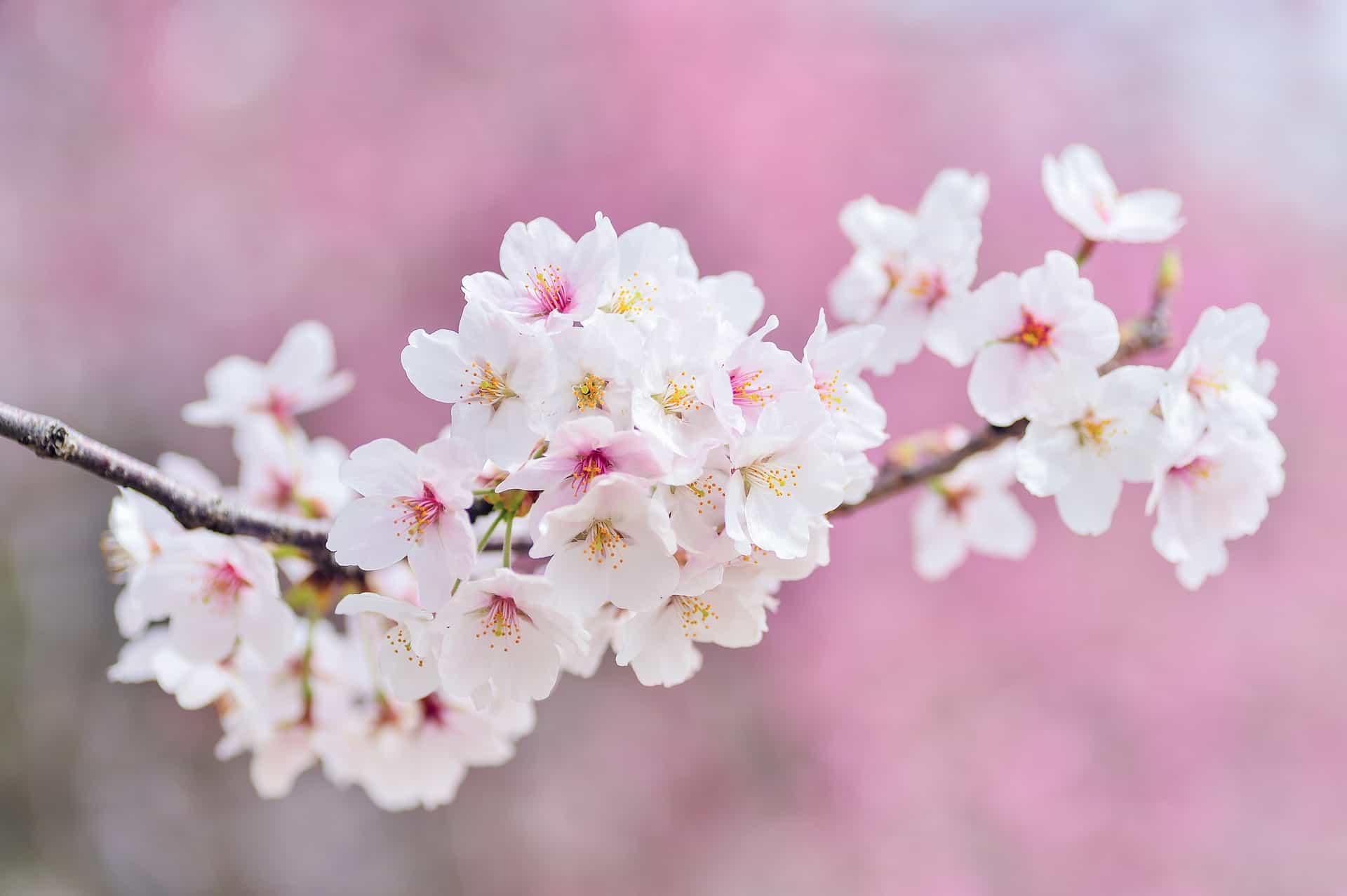 Spruch des Monats: April 2019